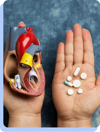 A split-screen close-up showing a hand on the left holding an open anatomical model of a human heart, and a hand on the right holding a variety of white and blue medicinal pills and capsules.