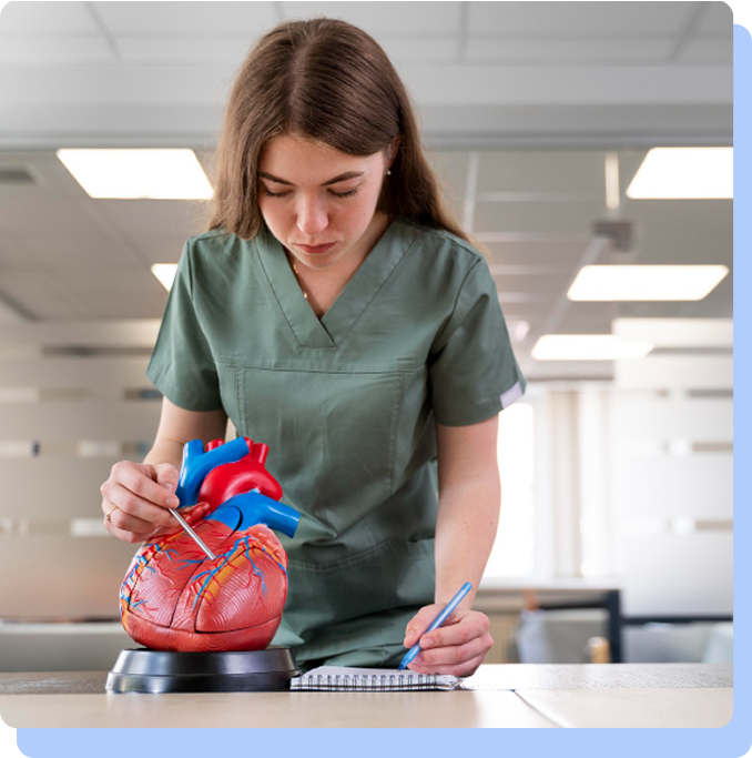 A young woman in green medical scrubs standing at a table, looking down intently while pointing at a detailed 3D anatomical model of a human heart and taking notes in a small spiral notebook.
