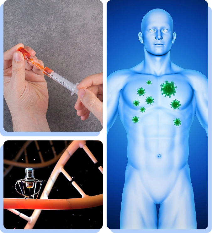 A 3D anatomical model of a human torso with green glowing markers highlighting the areas where GLP-1 hormones interact with the body's systems.
