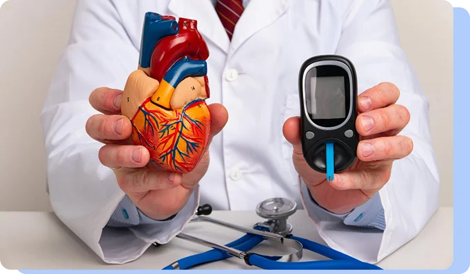 A doctor in a white lab coat holding an anatomical heart model in one hand and a digital glucose monitor (glucometer) in the other, representing the link between blood sugar and heart health.