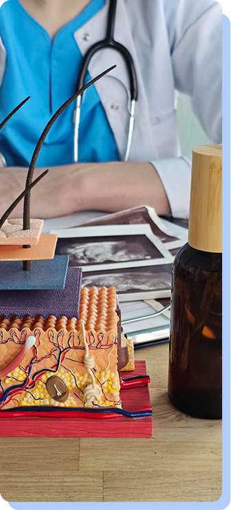A close-up of a wooden desk featuring a detailed anatomical cross-section model of human skin layers next to a dark glass bottle and various medical documents.