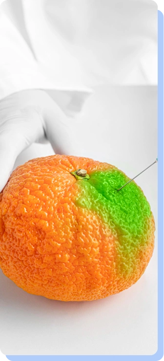A close-up of an orange that is half bright orange and half vibrant green. A needle is shown being inserted into the green side of the fruit.