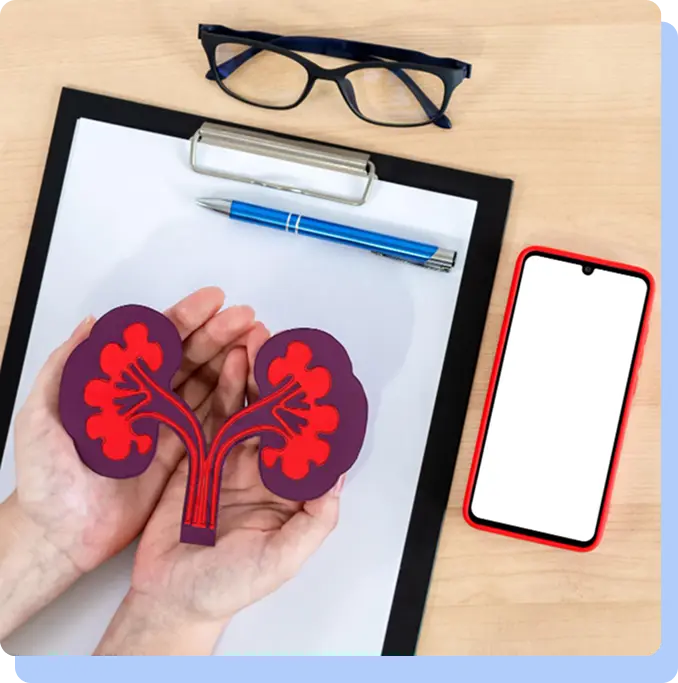 A top-down view of a wooden desk featuring a black clipboard with white paper, a blue pen, and a pair of black-rimmed glasses. In the center, two hands are cupped together holding a red and purple paper cutout of human kidneys. A smartphone with a blank white screen sits to the right.
