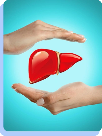 A conceptual shot of two hands reaching toward a floating, glossy red 3D model of a human liver set against a teal background.