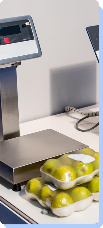 A kitchen or lab scale holding several green apples, some of which are packaged in plastic wrap.