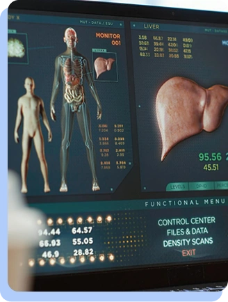 A digital medical interface showing a 3D anatomical model of a human body next to a detailed close-up of a human liver.