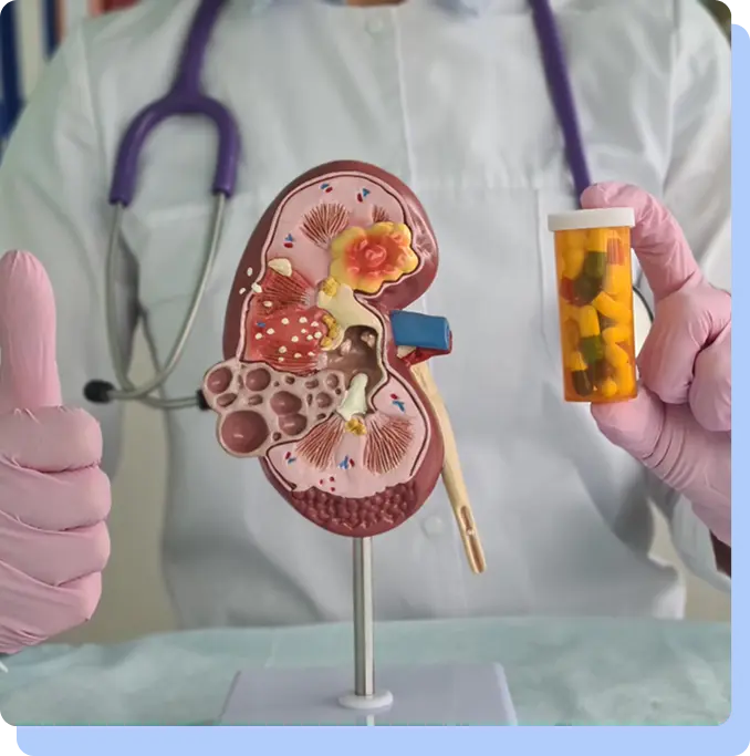 A close-up of a person in a white lab coat and pink gloves. They are giving a thumbs up with one hand and holding a pill bottle filled with yellow and orange capsules in the other, next to an anatomical model of a human kidney.